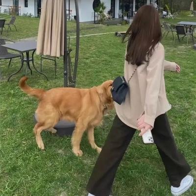 龙卷风暴